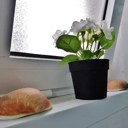 Embaixador Mateus アパート リスボン